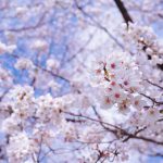 失敗力 ７年日記　平成２０年３月　春　拘置所の日常！