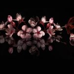 受刑者の日常　（拘置所生活で何気ない喜び）