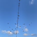 平成20年8月14〜20日　更生日記　（拘置所生活　最後の日　また社会に戻るまで）