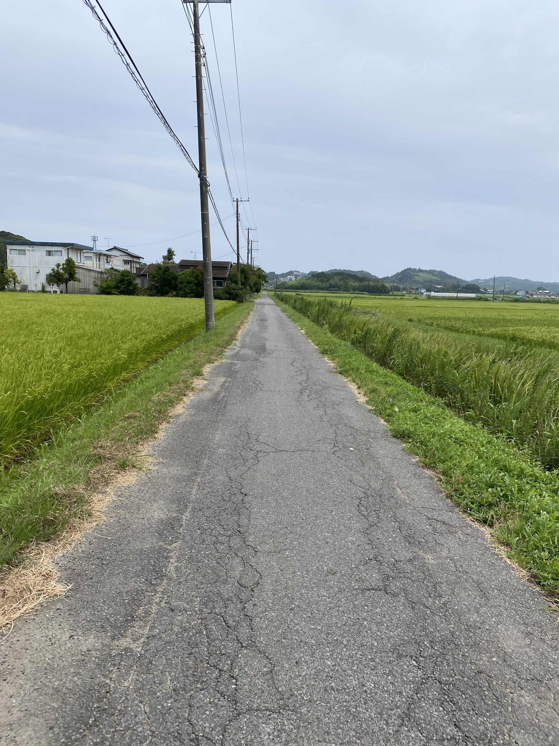 平成20年7月26〜31日　更生日記　（正夢って　あるものだな〜！　夢で判決が！）