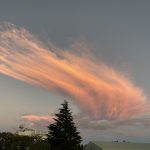 平成20年11月26〜31日　更生日記　（12工場　１−１−７室の日常）