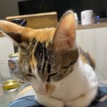 平成20年6月18〜22日　更生日記　（人生最大のドン底の日　２４歳誕生日）