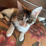 平成20年5月28〜31日　更生日記　（ずっと一緒の人間関係　そりゃ〜暴れるね〜笑）