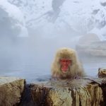 5月21日〜25日（青い制服の鬼の担当を操る受刑者　隙があれば工場から出される）