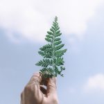 ４月６日〜（第１類生　夢の実現）