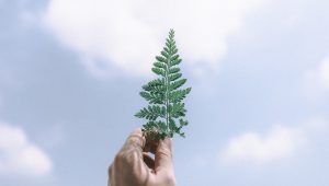 ４月６日〜（第１類生　夢の実現）