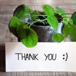 ６月１８日（３０歳の誕生日　この日を迎えて）