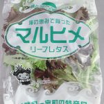 私たちのレタスが一宮町特産に