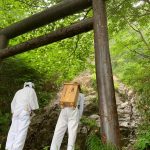 四国石鎚山の夏山参拝