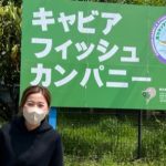 チョウザメの視察に行きました。